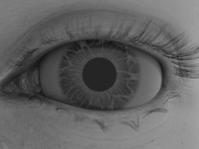 Synthetic eyeball